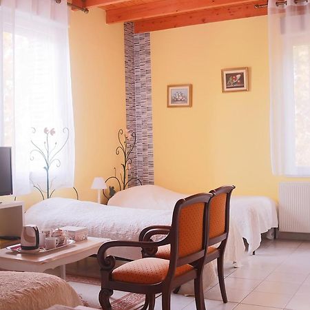 Domaine De L'Ile - Gites Et Chambres D'Hotes カステルサラザン エクステリア 写真