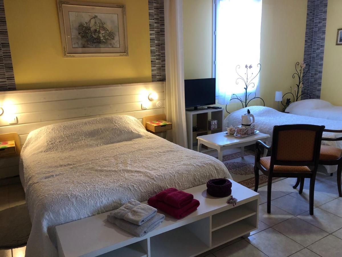 Domaine De L'Ile - Gites Et Chambres D'Hotes カステルサラザン エクステリア 写真