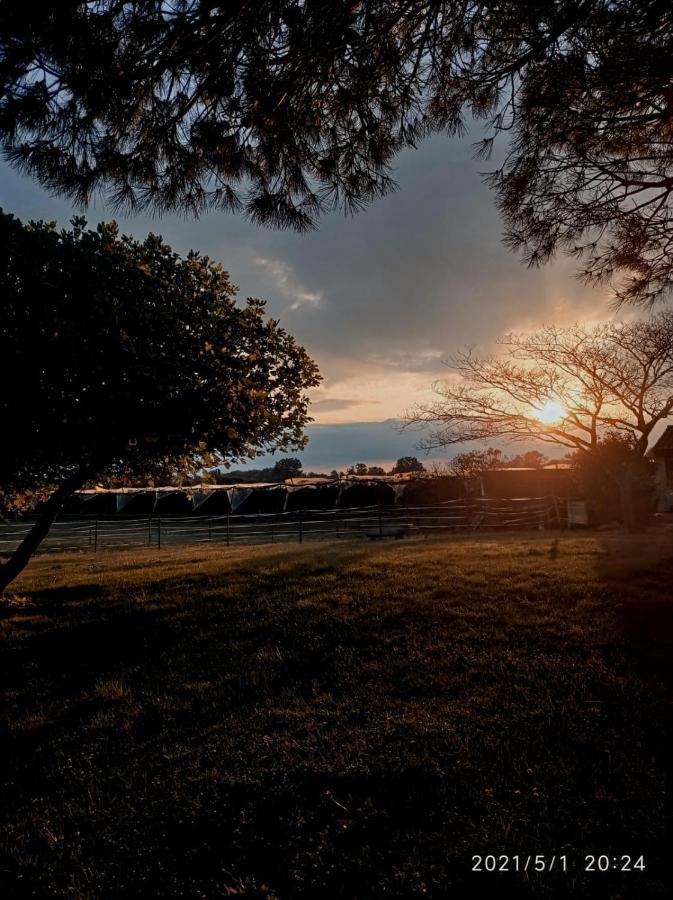Domaine De L'Ile - Gites Et Chambres D'Hotes カステルサラザン エクステリア 写真